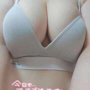 ヒメ日記 2026/08/01 12:54 投稿 ここ 白いぽっちゃりさん