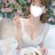 ヒメ日記 2026/09/19 09:33 投稿 愛芽梨 VIP