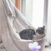 ヒメ日記 2025/02/04 15:16 投稿 ふうな 学園collection