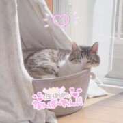 ヒメ日記 2025/02/27 12:32 投稿 ふうな 学園collection