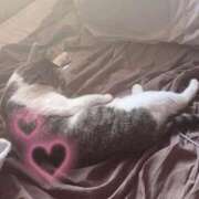 ヒメ日記 2025/03/31 17:24 投稿 ふうな 学園collection