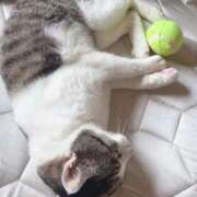 ヒメ日記 2025/05/18 15:25 投稿 ふうな 学園collection