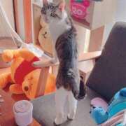 ヒメ日記 2025/07/25 14:04 投稿 ふうな 学園collection