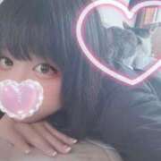 ヒメ日記 2025/08/03 11:08 投稿 ふうな 学園collection