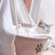 ヒメ日記 2025/08/16 08:14 投稿 ふうな 学園collection