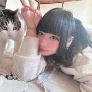 ヒメ日記 2026/01/06 14:34 投稿 ふうな 学園collection