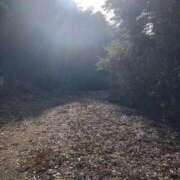 ヒメ日記 2025/01/27 20:11 投稿 つゆり アリスカフェ