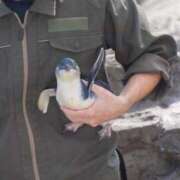 ヒメ日記 2025/04/13 11:27 投稿 つゆり アリスカフェ