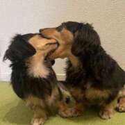 ヒメ日記 2025/08/13 15:27 投稿 つゆり アリスカフェ