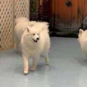 ヒメ日記 2025/06/23 19:59 投稿 えみ 白いぽっちゃりさん仙台店