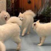 ヒメ日記 2025/07/14 12:43 投稿 えみ 白いぽっちゃりさん仙台店