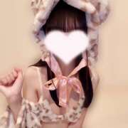 体験入店 セリカ 今月の出勤予定🎀 コイバ