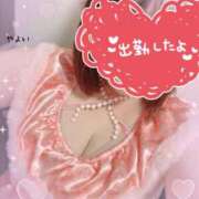 ヒメ日記 2025/03/13 09:54 投稿 やよい 電車ごっこ