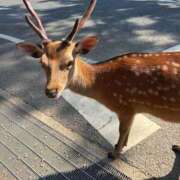 ヒメ日記 2025/08/25 14:50 投稿 やよい 電車ごっこ