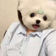 ヒメ日記 2025/12/16 13:21 投稿 やよい 電車ごっこ