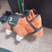 ヒメ日記 2025/12/19 22:01 投稿 やよい 電車ごっこ