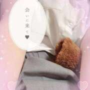 ヒメ日記 2026/02/25 10:10 投稿 やよい 電車ごっこ