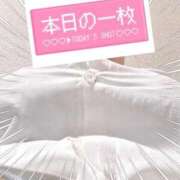 ヒメ日記 2026/02/26 10:20 投稿 やよい 電車ごっこ
