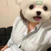 ヒメ日記 2026/03/05 13:50 投稿 やよい 電車ごっこ