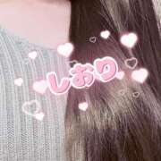 ヒメ日記 2025/02/08 14:21 投稿 しおり 渋谷蘭の会