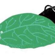 ヒメ日記 2025/02/02 02:58 投稿 れん ノーパンエステ!?絶頂させる天使たち