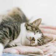 ヒメ日記 2025/02/09 21:28 投稿 れん ノーパンエステ!?絶頂させる天使たち