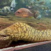 ヒメ日記 2025/06/22 17:28 投稿 れん ノーパンエステ!?絶頂させる天使たち