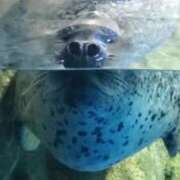 ヒメ日記 2025/05/20 20:50 投稿 えりか マダム錦糸町