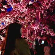 ヒメ日記 2025/03/09 19:51 投稿 はな X-PARTY