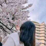 ヒメ日記 2025/04/11 17:21 投稿 はな X-PARTY