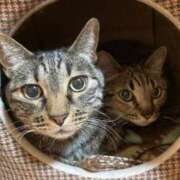 ヒメ日記 2025/05/14 20:41 投稿 はな X-PARTY