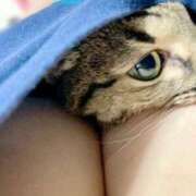 ヒメ日記 2025/06/27 06:01 投稿 はな X-PARTY