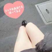 ヒメ日記 2025/02/01 14:47 投稿 ありす OKINI八王子