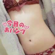 ヒメ日記 2025/03/04 14:27 投稿 ありす OKINI八王子