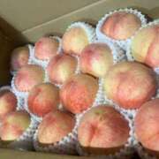 ヒメ日記 2025/08/14 21:00 投稿 澄玲(すみれ) Chaleur (シャルール)