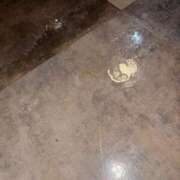 ヒメ日記 2025/04/06 20:47 投稿 しずく【変態ちゃんは清楚美女】 STELLA NEXT－ステラネクスト－