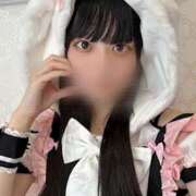 ヒメ日記 2026/02/10 11:10 投稿 いな 上野ハンドメイド