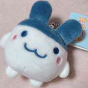 ヒメ日記 2026/03/14 22:50 投稿 いな 上野ハンドメイド