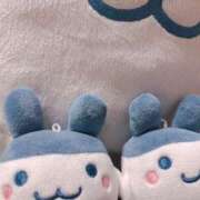 ヒメ日記 2026/06/29 23:01 投稿 いな 上野ハンドメイド