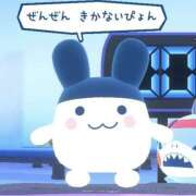 ヒメ日記 2026/08/21 23:28 投稿 いな 上野ハンドメイド