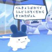 ヒメ日記 2026/09/21 10:00 投稿 いな 上野ハンドメイド