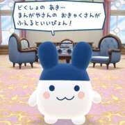 ヒメ日記 2025/11/03 22:48 投稿 いな 神田ハンドメイド