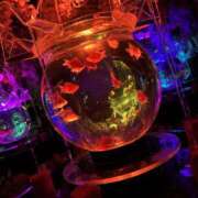 ヒメ日記 2025/01/23 01:31 投稿 ひなこ 横浜ミセスアロマ（ユメオト）