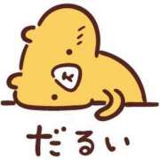 ヒメ日記 2025/04/19 16:43 投稿 まり 三重松阪ちゃんこ