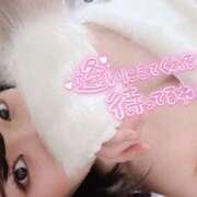 ヒメ日記 2025/03/02 10:06 投稿 エミ♡イチャ+エロ=至高バニー♡ ドMなバニーちゃん 名古屋・池下店