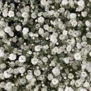 ヒメ日記 2025/07/25 08:27 投稿 エミ♡イチャ+エロ=至高バニー♡ ドMなバニーちゃん 名古屋・池下店