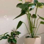 ヒメ日記 2025/09/08 08:32 投稿 エミ♡イチャ+エロ=至高バニー♡ ドMなバニーちゃん 名古屋・池下店