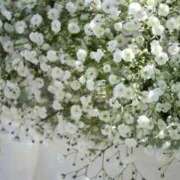 ヒメ日記 2025/09/12 08:47 投稿 エミ♡イチャ+エロ=至高バニー♡ ドMなバニーちゃん 名古屋・池下店