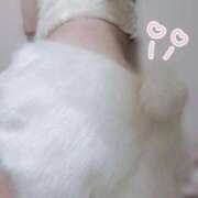 ヒメ日記 2025/12/05 08:17 投稿 エミ♡イチャ+エロ=至高バニー♡ ドMなバニーちゃん 名古屋・池下店