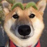 ヒメ日記 2025/06/01 12:47 投稿 ねね 池袋千姫